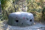 Pz. W. 715 (fot. arch. UG Lubrza) 